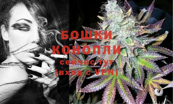 прущие крисы Белокуриха