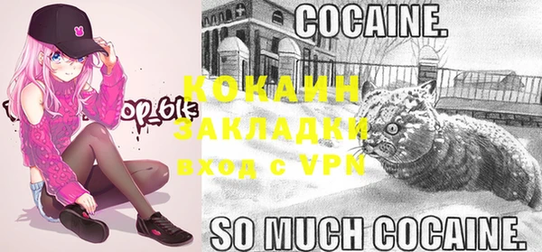 прущие крисы Белокуриха