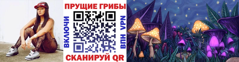 где купить наркоту  Городовиковск  Псилоцибиновые грибы Psilocybine cubensis 